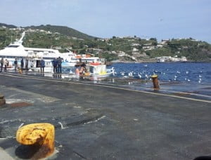 poche barche col pescato nella banchina di sottomoastero