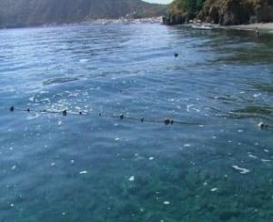 mare sporco