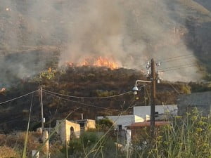 10577117_10204583090484406_2397332837031194981_n