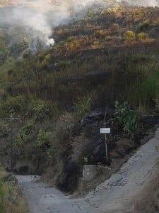 1939662_10204583090084396_7713608100365016113_n