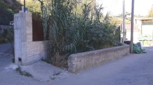 boccetta 1