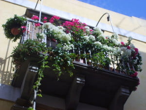 il balcone primo classificato