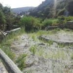 la vasca di contenimento del Torrente Calandra
