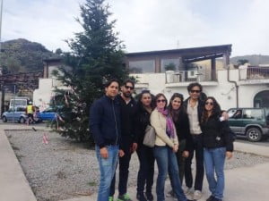 albero