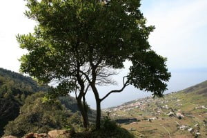 1459768_10203354641923251_2018287270111294222_n