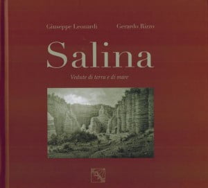 salina libro