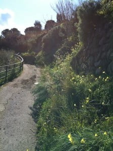 cappero 1