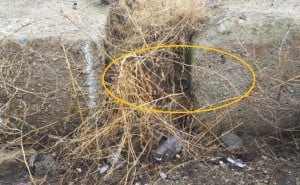 che fine ha fatto il palo col segnale ?