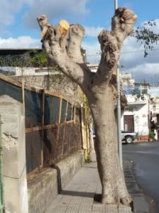 via franza a Lipari