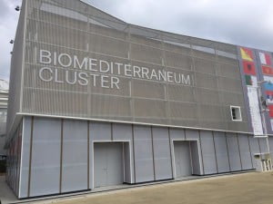 cluster biom
