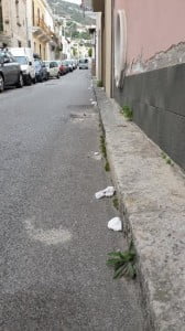 manni rifiuti 3