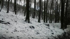 neve riserva