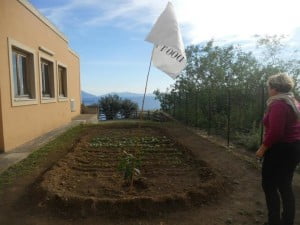 orto didattico 1