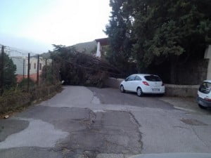 strada canneto lami