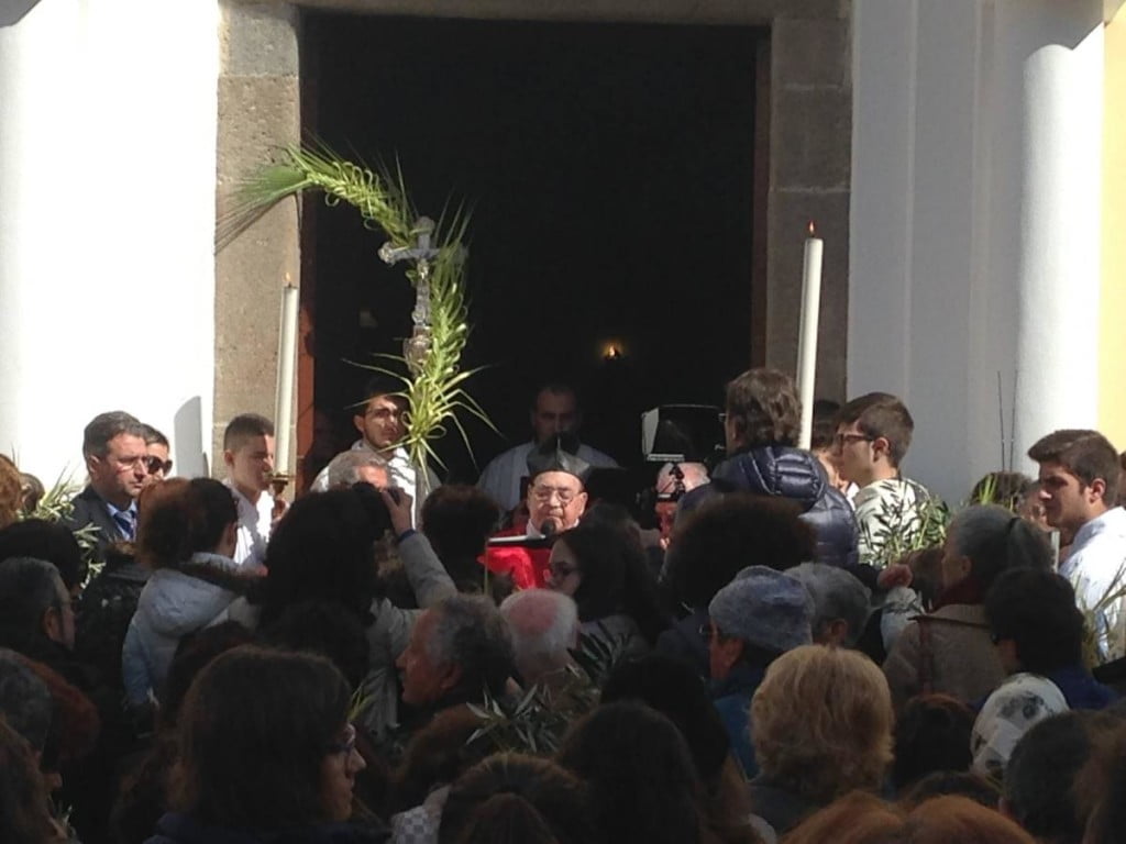 Padre Alfredo benedice le palme_0