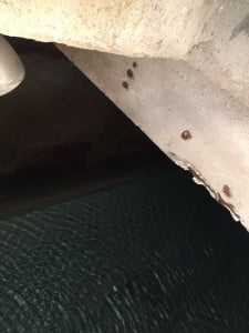 l'acqua rimasta questa mattina nel serbatoio di Pignataro