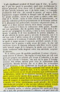 cappero storia 2