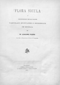 cappero storia 3
