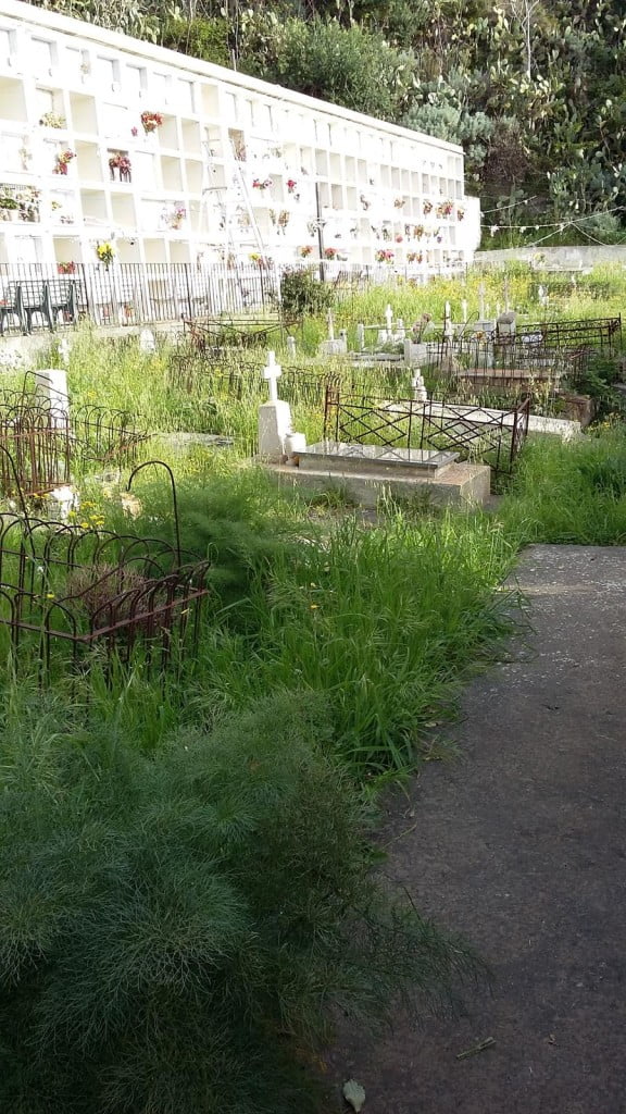 giacom cimitero 3