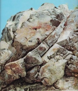eolie niccolai 3