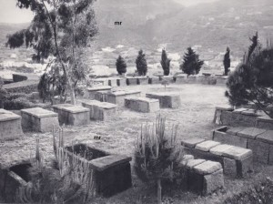eolie niccolai 6