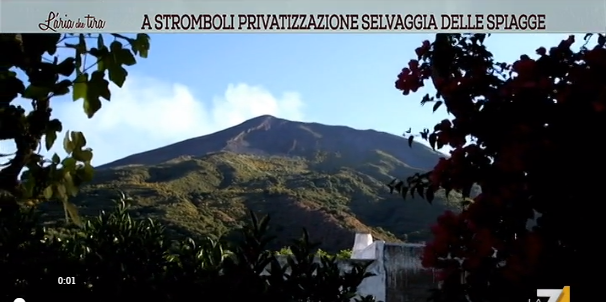 privatizzazione selvaggia