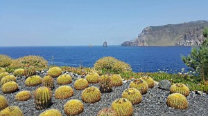 vulcano cucinotta 2