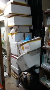 plastica finocchiaro