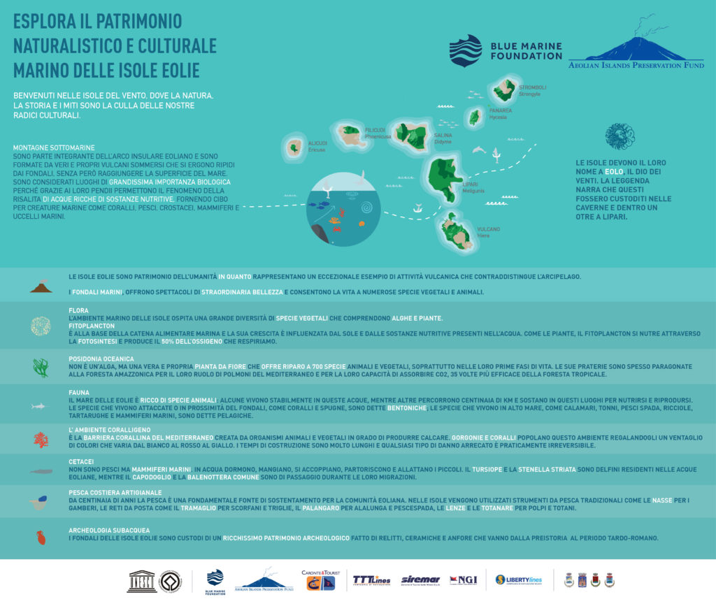 Infographic Digital Ita (1)