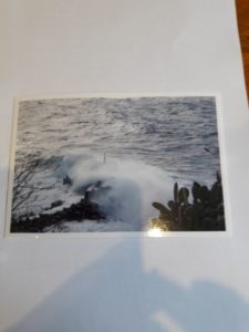 cartolina ginostra