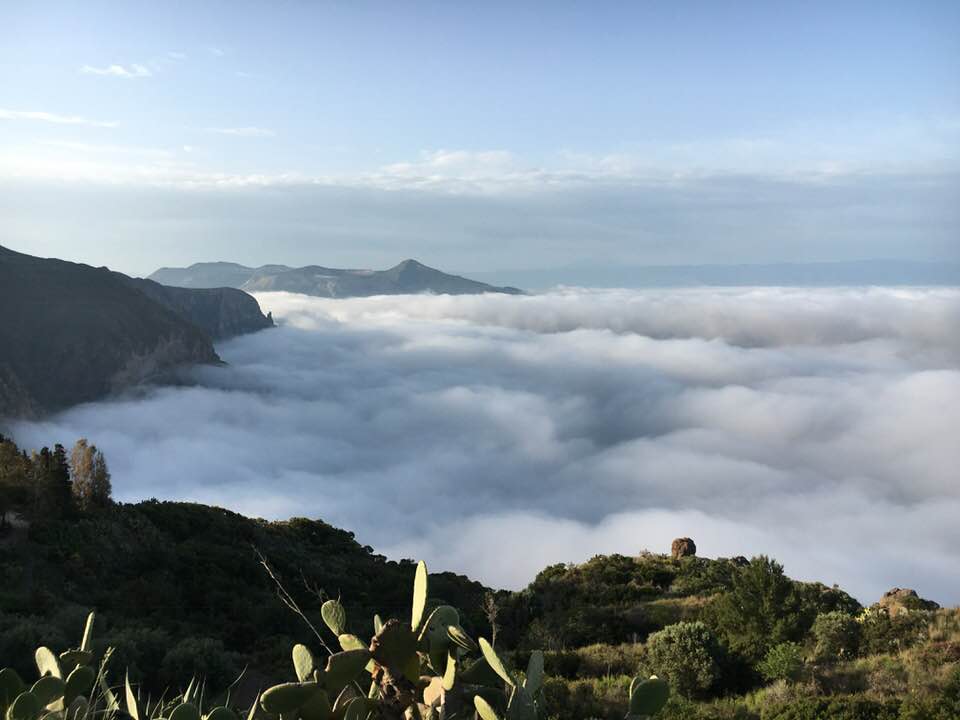 la lupa