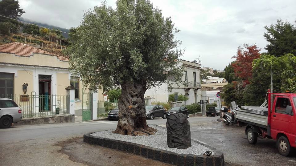 32745212_2157366257829308_5526016252880879616_n