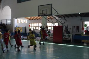 basket eolie 4
