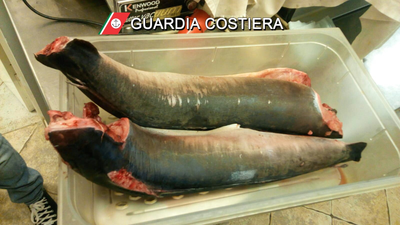 filiera pesce 2