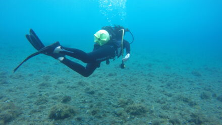 Il finto alibi del mare caldo: perché l'Area Marina Protetta serve più che mai