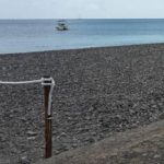 spiagge cani