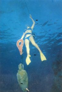 la ragazza di vulcano 5 b