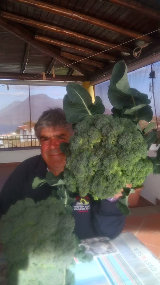 broccoli casella