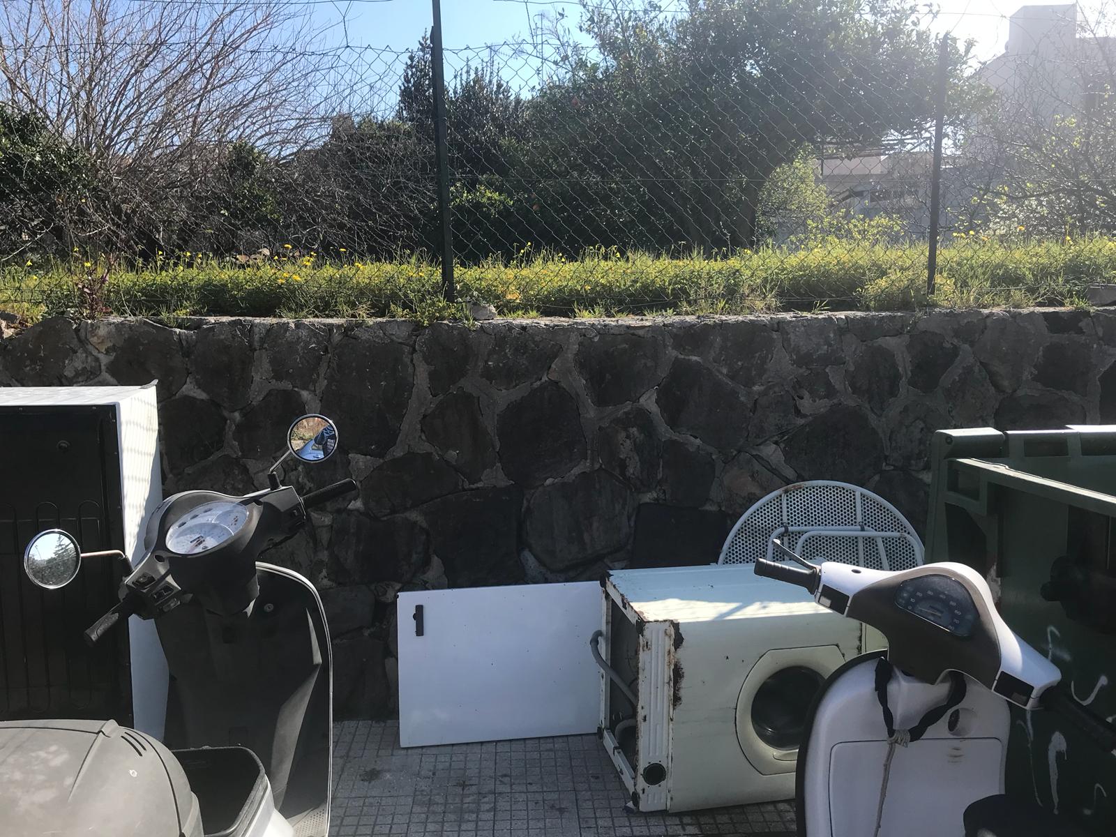 IMG-20190325-WA0003