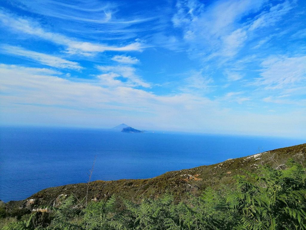 IMG-20190518-WA0002