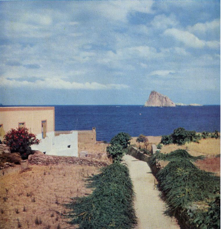 1 il viale dei capperi