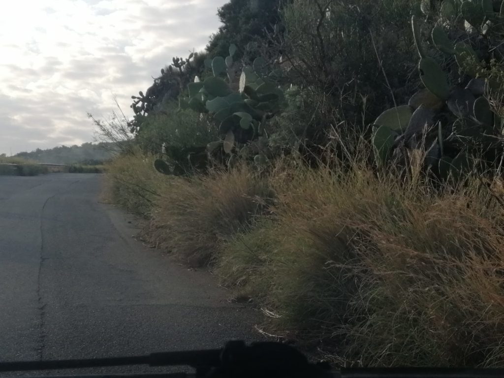 WhatsApp Image 2019-10-19 at 17.39.16