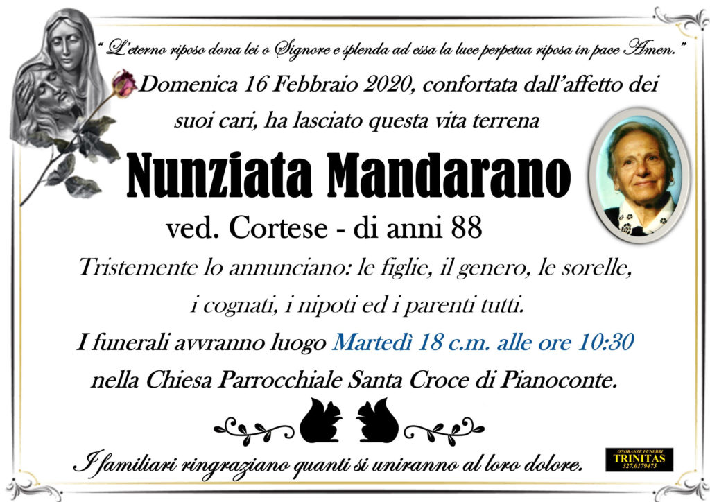 Bozza automatica 81