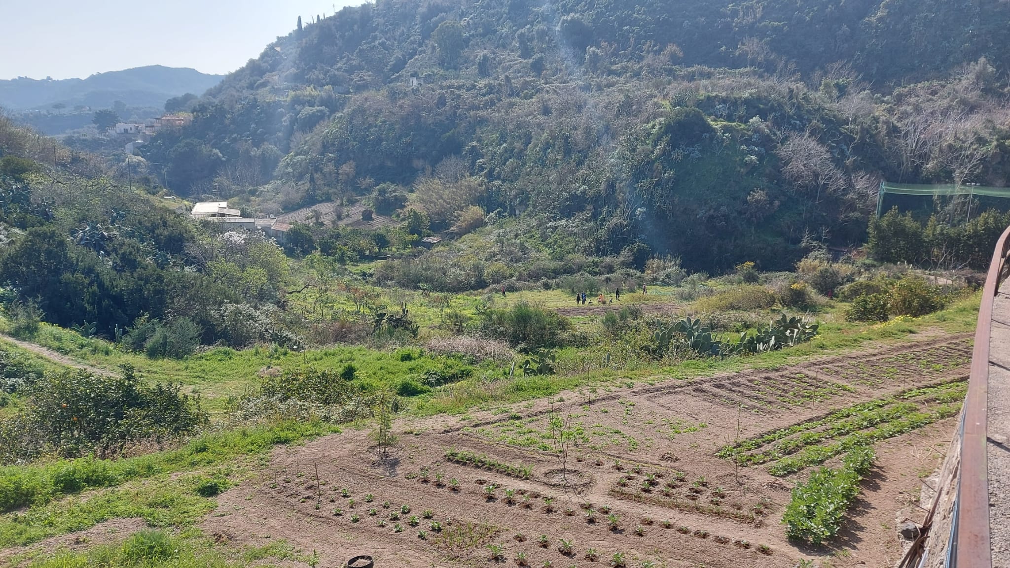 Orto sociale, una grande opportunità 1