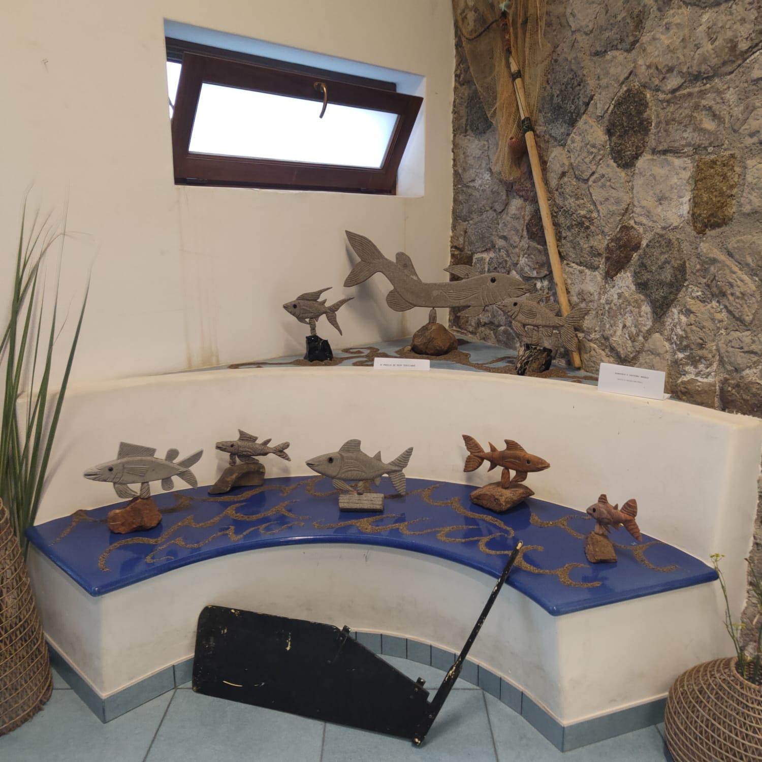 Mare, lava, rocce e pietre : mostra a Marina corta 4