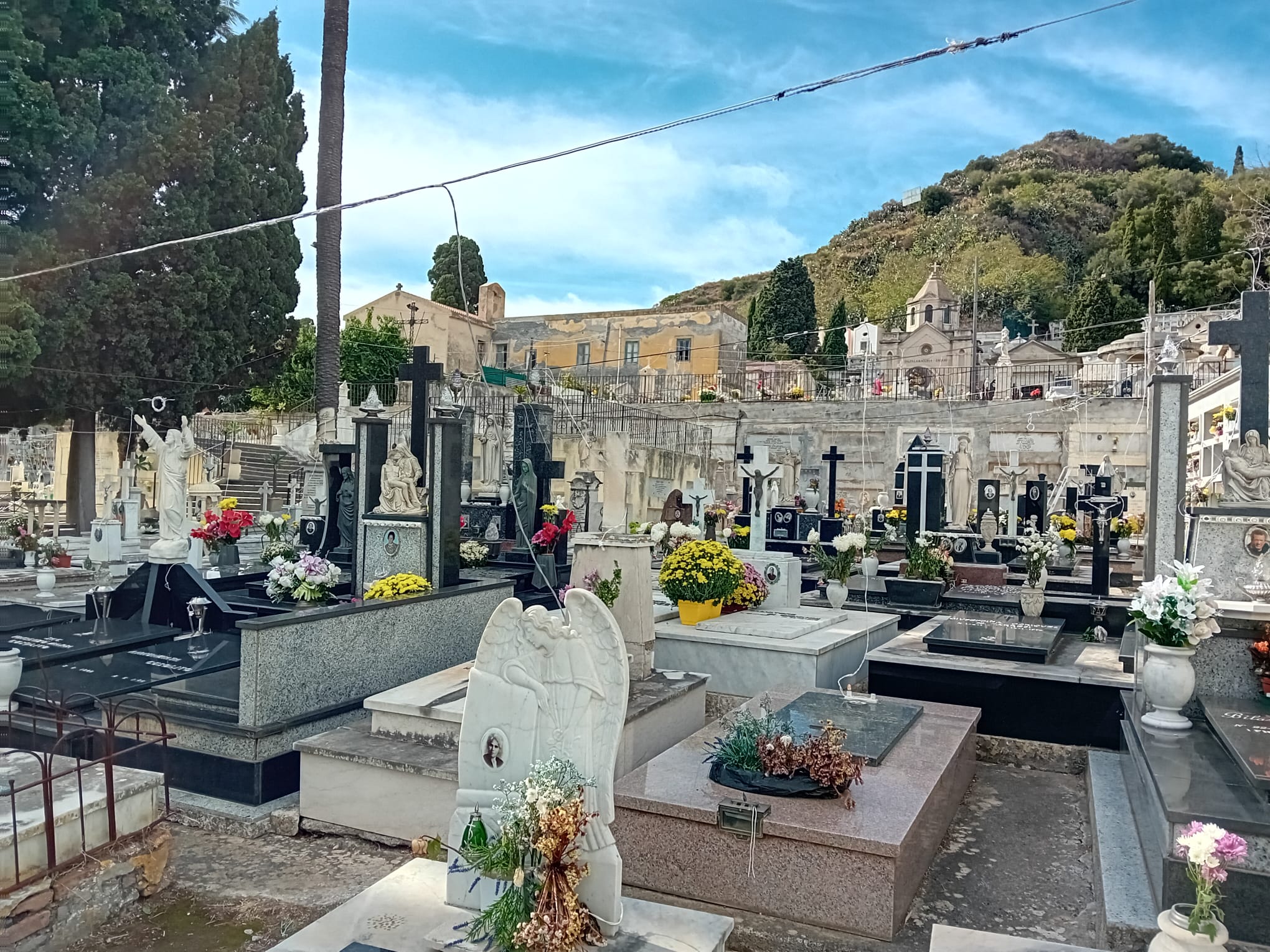 Bozza automatica 262