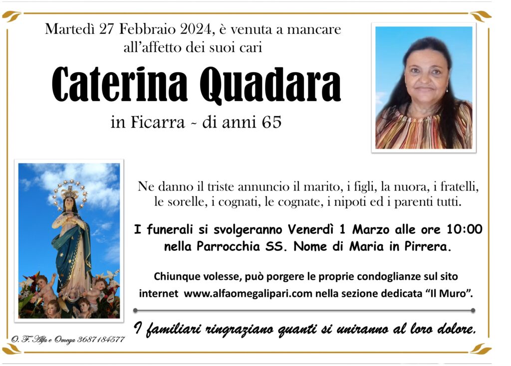 Bozza automatica 384