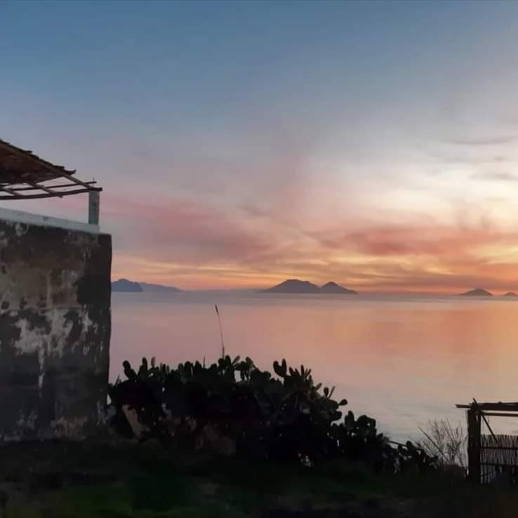 Bozza automatica 398