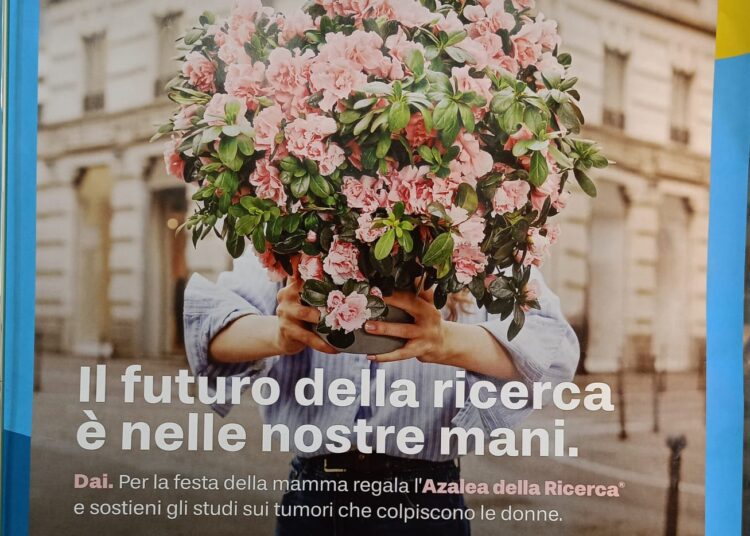 Domenica torna l'Azalea della Ricerca Airc 1