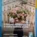 Domenica torna l'Azalea della Ricerca Airc 1